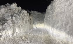 Yüksekova'da çığ düşen köy yolu ulaşıma açıldı