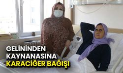 Gelinden Kaynanasına Karaciğer Bağışı