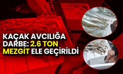 Kaçak Avcılığa Darbe: 2,6 Ton Mezgit Ele Geçirildi