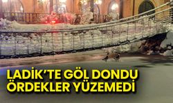 Ladik'te Göl Dondu! Ördekler Yüzemedi