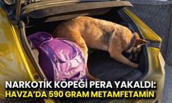 Narkotik Köpeği Pera Yakaldı: Havza’da 590 Gram Metamfetamin