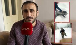 Yavru Domuzu Eliyle Yakaladı Sonra da Uyardı