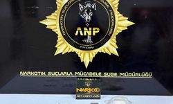 Aydın'da 815 gram uyuşturucu madde ele geçirildi; 1 tutuklama
