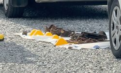 Aydın'da evlerinde ölü bulunan çiftin cinayet şüphelisi hurdacı çıktı (2)