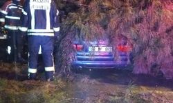Aydın'da seyir halindeki otomobilin üzerine ağaç devrildi; çift yaralandı