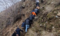 Bitlis'te hafif ticari araç, dereye uçtu: 3 ölü, 5 yaralı/Ek fotoğraflar