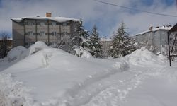 Bitlis'te kardan kapanan 254 köy yolu ulaşıma açıldı