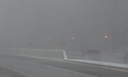 Bolu Dağı'nda kar ve sis