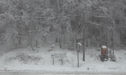 Bolu Dağı'nda kar yağışı ve sis