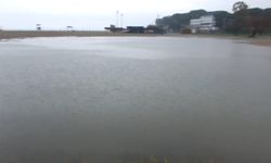 Burhaniye'de sağanak nedeniyle yollar göle döndü, tarım arazilerini su bastı