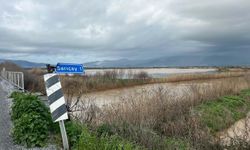 Büyük Menderes Nehri yine taştı; Söke Ovası'nı su bastı