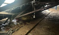 Çatısında kar biriken 2 ahır çöktü; 4 büyükbaş hayvan öldü