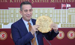 CHP'li Başarır: Kaybolan çocuklar için TBMM'de komisyon kurulsun