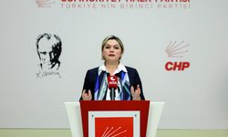 CHP'li Böke: Gümrük Birliği'nin güncellenmesi için yeni diplomasi anlayışına ihtiyaç var