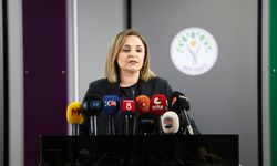 DEM Parti'li Doğan: Komisyondan beklenti, uzlaşıya varılmış ortak raporun çıkmasıdır