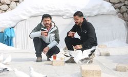 Evinin damında 3 ırktan 50 güvercin besliyor