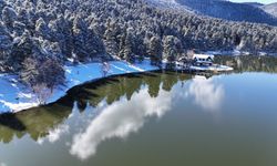 Gölcük Tabiat Parkı'ndaki mangal faaliyetleri, kanserojen madde birikimine neden oluyor