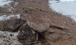 Heyelanda tek katlı ev toprak altında kaldı