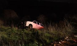 Kamyonetin şarampole yuvarlandığı kazada sürücü yaralandı