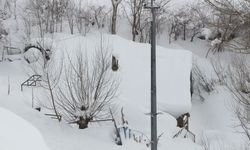 Karlıova'da kar yağışı ve tipi; 35 köy yolu kapandı