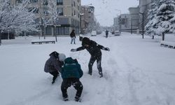 Kars'ta kar etkili oldu, kent beyaza büründü
