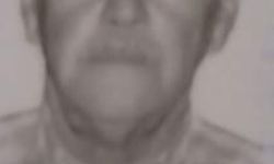 Manisa'da motosikletin çarptığı eski muhtar öldü