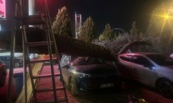 Manisa'da şiddetli rüzgar; minarenin külahı uçtu, 100'den fazla ağaç devrildi