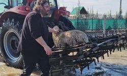 Meriç Nehri'nde su seviyesi arttı; DSİ 'turuncu alarm' uyarısında bulundu (2)