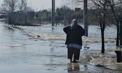 Meriç Nehri'nde su seviyesi arttı; DSİ 'turuncu alarm' uyarısında bulundu / Ek fotoğraflar