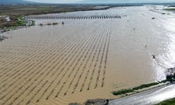 Nif Çayı taştı, Gediz Ovası su altında kaldı