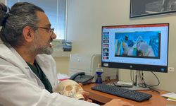 'Ortognatik cerrahi ile hastalar hem çiğneme fonksiyonuna hem de estetik görünüme kavuşuyor'