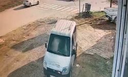 Otomobilin keçi sürüsüne çarptığı kaza kamerada