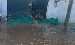 Salihli'de sağanak sonrası köprü yıkıldı, yollar kapandı (2)