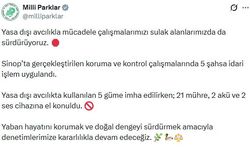 Sinop'ta yasa dışı avcılık operasyonu; 5 güme imha edildi