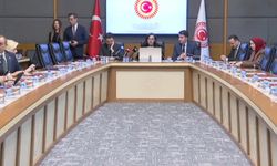 Suça Sürüklenen Çocuklara İlişkin Araştırma Komisyonu toplandı