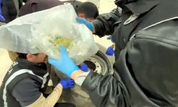 TIR'ın stepnesinde 22,5 kilo skunk ele geçirildi