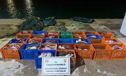 Ülkeye kaçak getirilen 300 kalkan balığı ele geçirildi