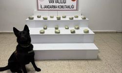 Van'da arazide 20 kilo 250 gram esrar ele geçirildi