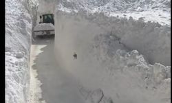 Van'da çığ düşen mahalle yolunda karla mücadele sürüyor