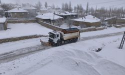 Van'da kar yağışı nedeniyle 53 yerleşim yeri ulaşıma kapandı