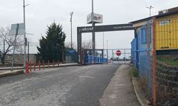 Yalova'da denizde kadın cesedi bulundu