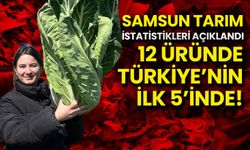 Samsun Tarımda Zirveye Koşuyor: 12 Üründe Türkiye’nin İlk 5’inde!