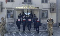 Annesini odunla başına vurup, öldürdü