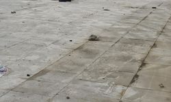 Binanın 10'uncu kat balkonundan düşen Kübra hayatını kaybetti