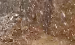 Bingöl'de sağanak sonrası yolda biriken çamur temizlendi