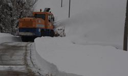 Bitlis'te bu kış, 20 bin kilometrelik yol açma çalışması gerçekleştirildi / Ek fotoğraflar
