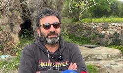 Bodrum'da 2 bin yıllık olduğu tahmin edilen çınar ağacı bulundu