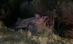 Bursa'da alkollü sürücünün kullandığı otomobil, zeytinliğe uçtu