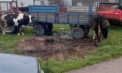 Bursa'da sağanak ve fırtına (9)