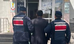 Çok yediğini iddia ettiği köpeğini ağaca asıp öldürdü (2)